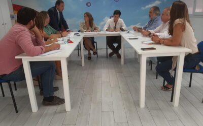 Mesa de trabajo de la vicesecretaría de Organización y Electoral