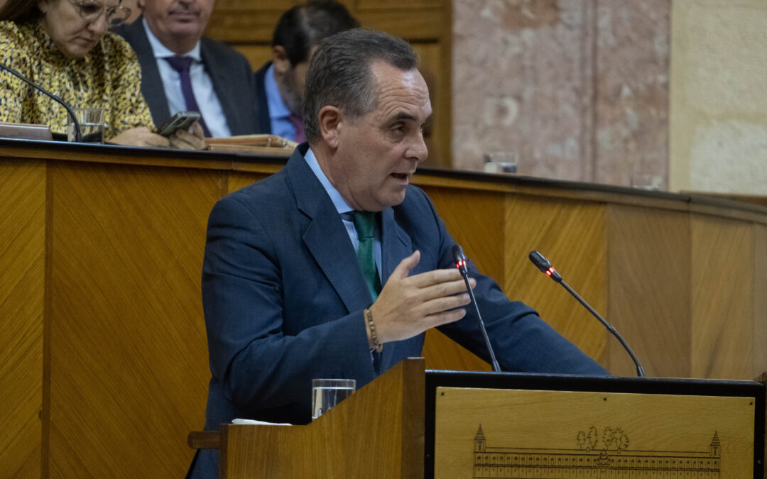 El PP andaluz destaca el consenso y diálogo con el que llega el proyecto de Ley de Función Pública al Parlamento