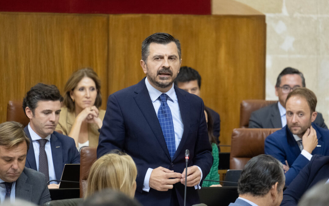 Martín: “Ha tenido que ser un Gobierno del PP del que dedique el mayor presupuesto de la historia andaluza a políticas sociales”