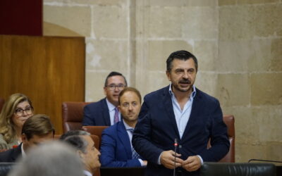 El PP de Andalucia pide explicaciones al Ejecutivo de España por la merma continuada del servicio de Alta Velocidad en Sevilla