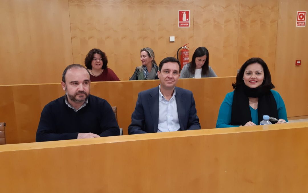El PP de Sevilla reclama a Diputación la puesta en marcha de ayudas a la contratación laboral