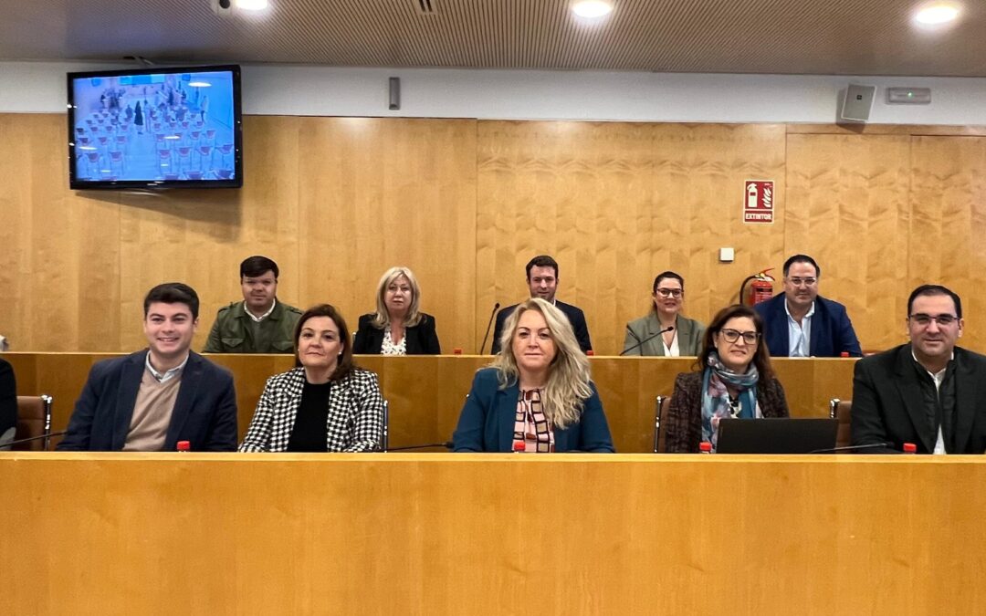 “La Diputación de Sevilla es una administración instrumentalizada por Javier Fernández al servicio del PSOE”