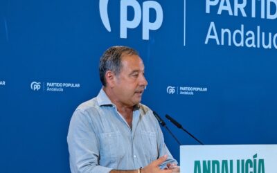 Ricardo Sánchez: “La ineptitud e incapacidad del gobierno de Sánchez aboca a los sevillanos al colapso”