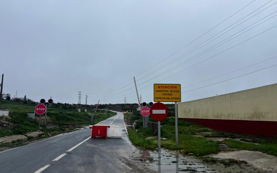 La carretera Arahal- Carmona lleva cinco meses cerrada al tráfico sin que la Diputación esté realizando trabajo alguno para su reapertura