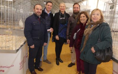 El PP de Sevilla apoya a los criadores de las Gallinas Utreranas y augura un futuro prometedor como actividad económica para la comarca
