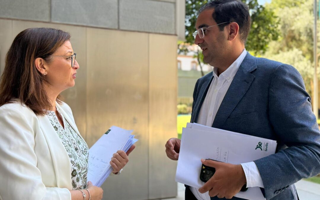 “Es una muestra más del servilismo de los socialistas sevillanos doblegados al sanchismo”