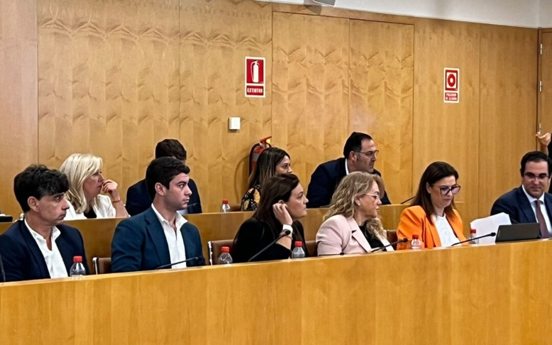 El PP señala que los ayuntamientos se verán obligados a implantar esta tasa a los vecinos, incluso a aquellos que tienen bonificación