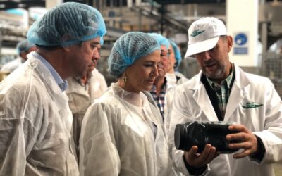 Teresa Jiménez-Becerril pregunta a Sánchez “si se ha quedado dormido mientras se imponía nuevos aranceles sólo al aceite embotellado español”