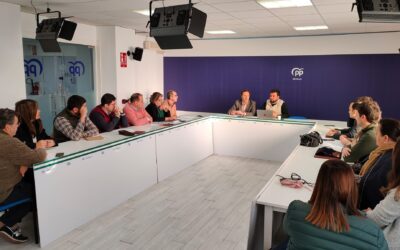 El PP de Sevilla se marca como objetivo ganar en la provincia de Sevilla para extender el modelo de Gobierno de Juanma Moreno