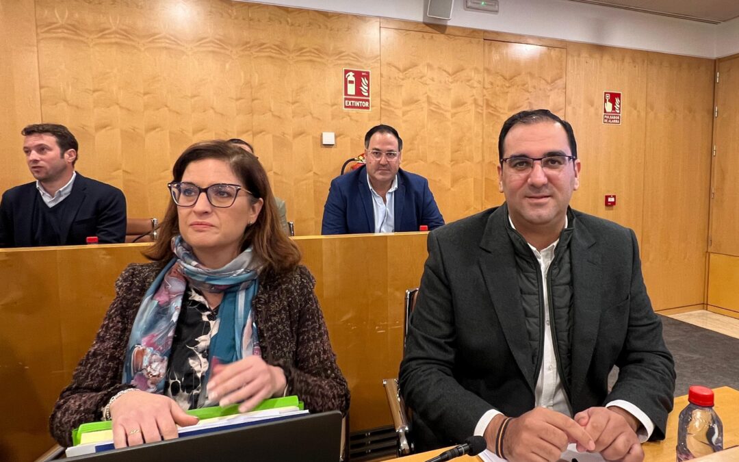 “Javier Fernández, como presidente de la Diputación, debe dar explicaciones sobre los gastos de Fitur 2024”