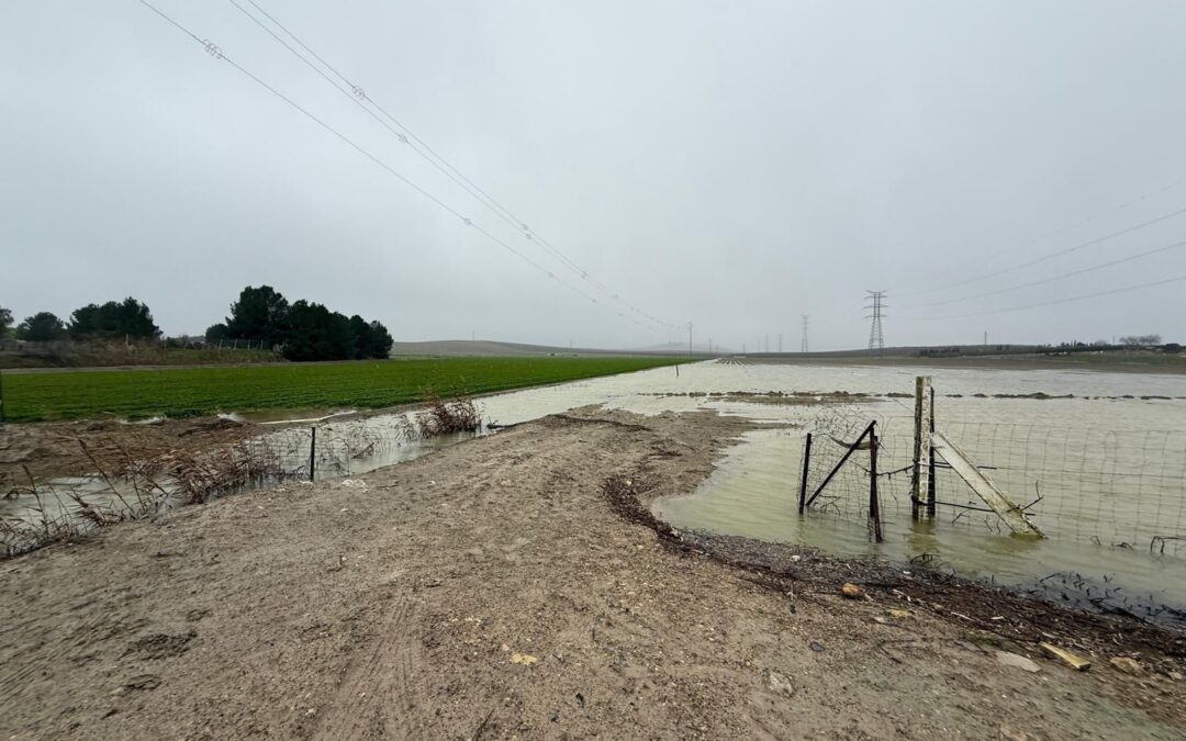 El PP propone a la Diputación usar parte de su remanente de más de 488 millones de euros para reconstruir los municipios afectados por el temporal