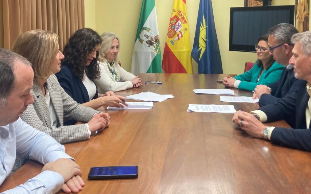 El PP de Sevilla denuncia la falta de alternativas de la Diputación ante un problema de salubridad que afecta a miles de vecinos