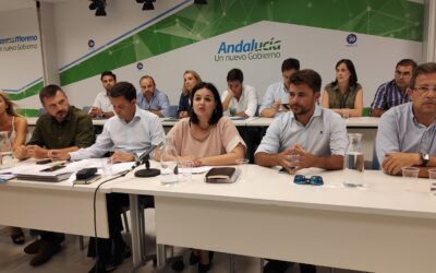 El PP de Sevilla inicia su curso político impulsando la maquinaria para las nuevas elecciones a las que nos lleva Pedro Sánchez