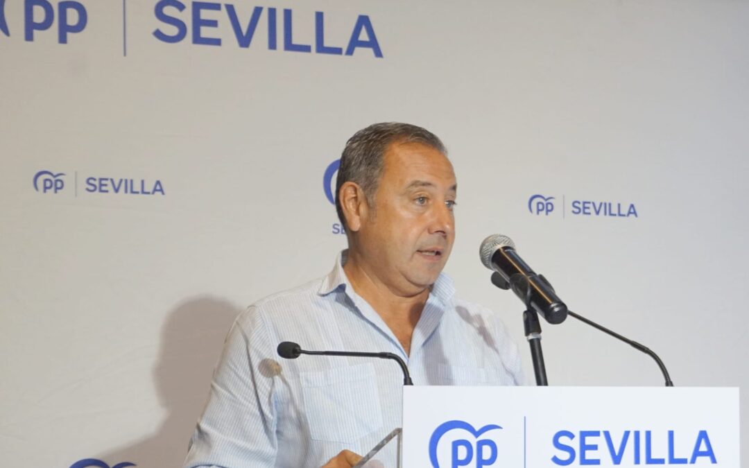 “A pesar del maltrato y el castigo de Sánchez y sus ministros a Sevilla, nuestra provincia avanza gracias a las políticas de Juanma Moreno”