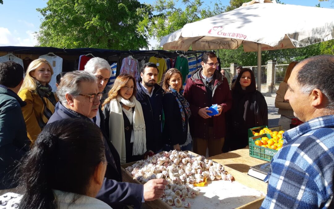 Teresa Jiménez-Becerril: “Juanma Moreno inicia el camino de la bajada de impuestos que Pablo Casado convertirá en una revolución fiscal para que los sevillanos tengamos más dinero para invertir y ahorrar”