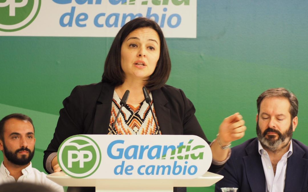 El PP lamenta que el gobierno socialista en funciones de la Junta mantenga el colapso en las urgencias del Hospital Virgen de Valme