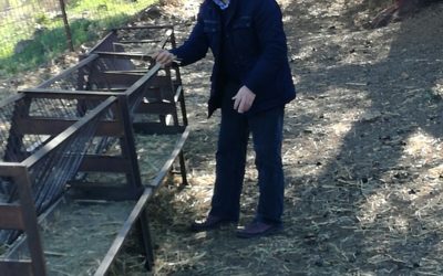 El PP de Sevilla reclama a la Junta de Andalucía ayudas para afectados por la sequía en Sierra Morena