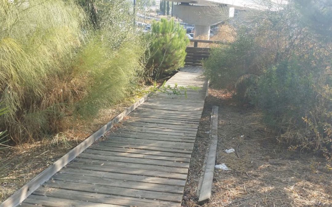 El PP denuncia el incumplimiento del convenio para el mantenimiento del Parque Osset y pide su revisión