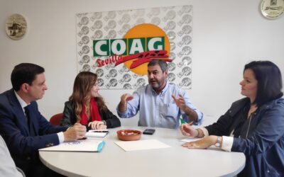 El PP garantiza que “con Pablo Casado, el campo sevillano tendrá un gobierno fuerte que defienda sus intereses en Europa”