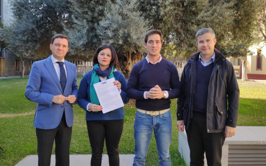 El PP de Sevilla reclama en la Diputación a Sánchez explicaciones por los pactos contraídos con quienes atacan a la Constitución y quieren romper España