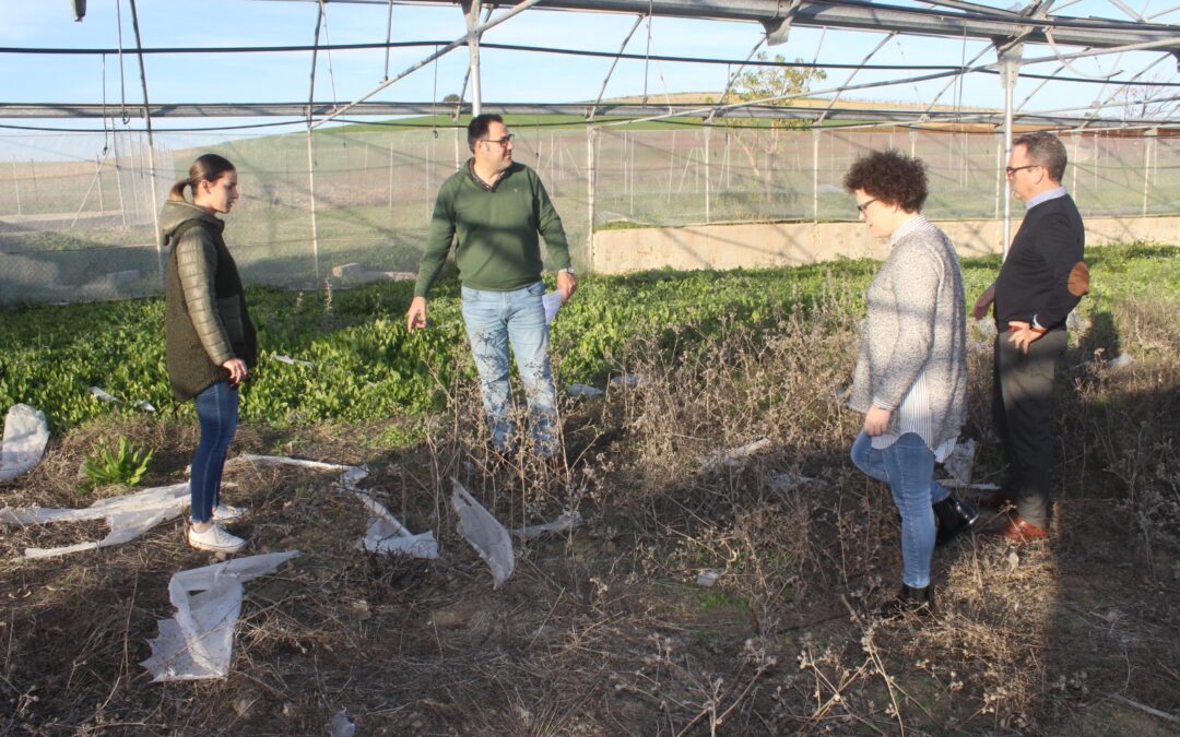 El PP reclama explicaciones al Alcalde por la falta de actividad y el abandono de invernaderos municipales