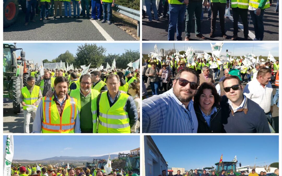 El PP exige Sánchez que “deje de mirar para otro lado porque él es el único que puede ‘apretar’ en Europa para salvar al campo sevillano”