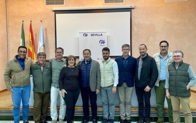 El PP de Sevilla pide al Gobierno de la Nación más médicos de familia en formación en la próxima convocatoria MIR