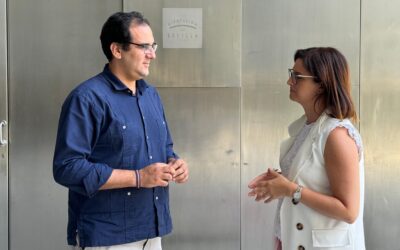 PSOE en la Diputación de Sevilla votó en contra de un plan para el control y prevención del mosquito