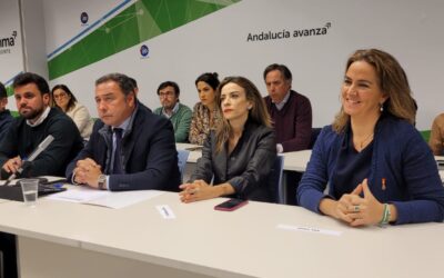 El PP de Sevilla aprueba el Comité de Campaña y Comité Electoral de cara a las municipales del 28 de mayo