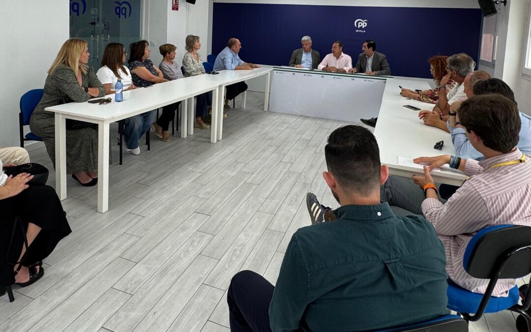El PP de Sevilla muestra su apoyo a las autoescuelas y pide medidas urgentes al gobierno de Sánchez y Montero