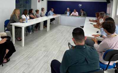 El PP de Sevilla muestra su apoyo a las autoescuelas y pide medidas urgentes al gobierno de Sánchez y Montero