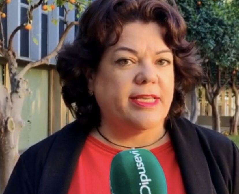 El PP propone en la Diputación un Plan de Emergencia en apoyo a los ayuntamientos autónomos y pymes de la provincia