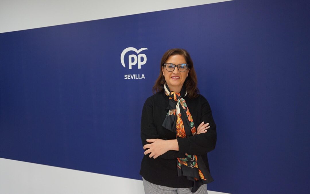 Los cambios de criterios de la Diputación de Sevilla en la adjudicación de becas dejan fuera a 35 estudiantes de la provincia