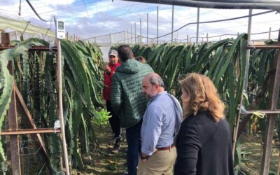 El PP de Sevilla aplaude las ayudas de la Junta a los floricultores de Lebrija afectados por las consecuencias de la borrasca Bernard