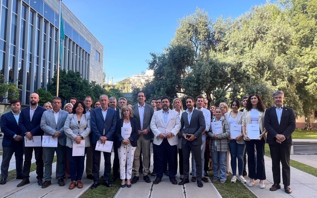 Martín Torres: “Hemos conseguido un primer avance frente al ‘Plan Sevilla 2030’, que Javier Fernández rectifique y retire la cofinanciación”