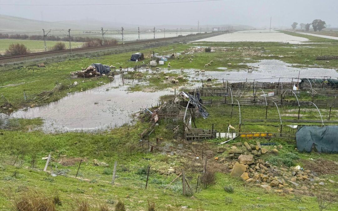 La Diputación de Sevilla ausente en su respuesta ante la emergencia por el temporal en la provincia