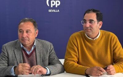 El PP de Sevilla exige por tercer año consecutivo a Javier Fernández un plan integral contra el virus del Nilo