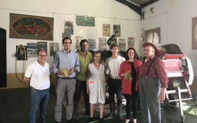 El PP lleva a la Diputación y al Parlamento una iniciativa sobre la industria del vino del Aljarafe