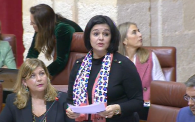 El PP de Sevilla sitúa al Gobierno andaluz de Juanma Moreno como el mejor aliado para potenciar el turismo de la provincia